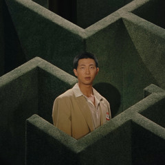 RM (BTS) — LOST