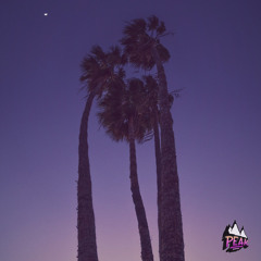 SUMMER GROOVE [Free Download]