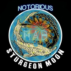 Sturgeon Bass | Sturgeon Moon 2021