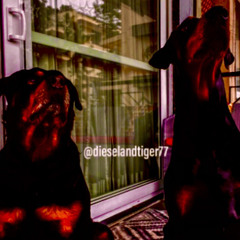 Bag Up x Payne - Back to Back