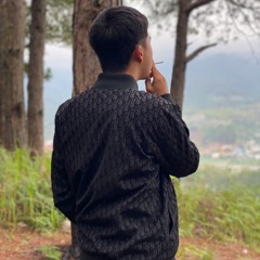 NST-VIETMIX BAY CÙNG CẢM XÚC VOL 2(FULL STYLE TINO)