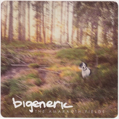 Bigeneric - The Amaranth Fields ( From the album "The Amaranth Fields" - Now available on Bandcamp )