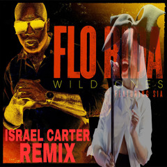 Flo Rida feat. Sia - Wild Ones (Israel Carter Remix)