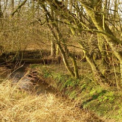 De kleuddemansplank - Brug over de Molenbeek - Dilbeek