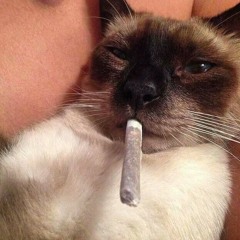 1 dance 1 chance prod. Qazers