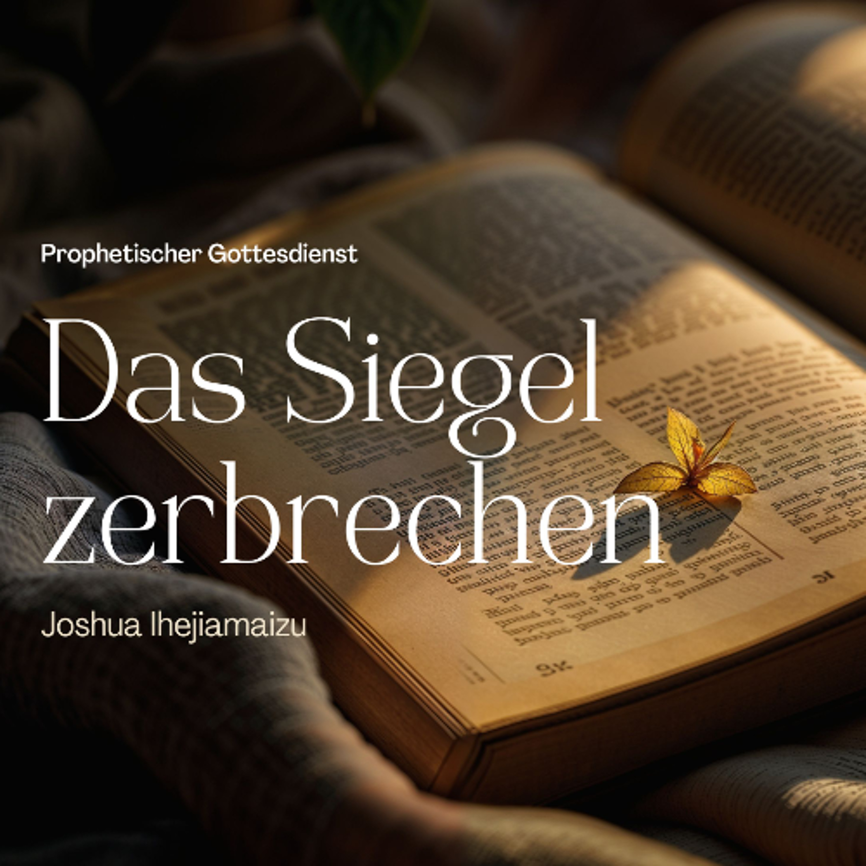 Das Siegel zerbrechen | Breaking the Seal - Joshua Ihejiamaizu episode artwork
