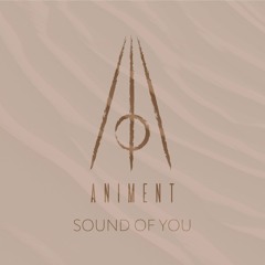 Sound Of You