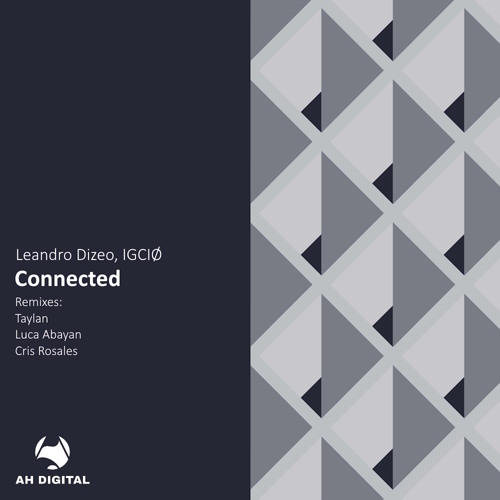 Leandro Dizeo, IGCIØ - Connected (Taylan Remix)