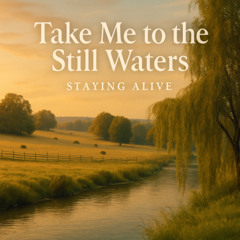 Take me to the Still Waters