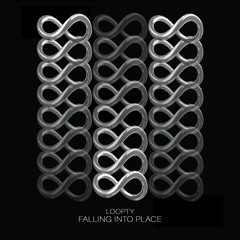 Fall Into Place (VIP)