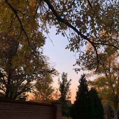 Autumn, Gone In Minuets (phone demo 1)