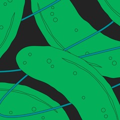 Ferment Station w/ Mini Zucchini & Mitsubitchi - 3rd of September 2024