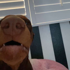 He doesn’t like u