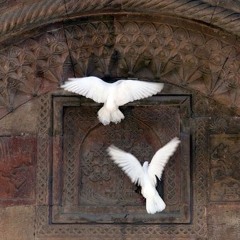 Akimboangels - LifeOfDaParty (nlia) (@bl4nk.radio)