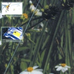 777