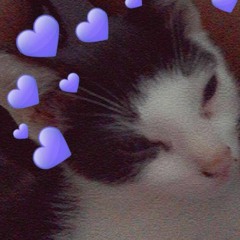 My favorite fnf songs