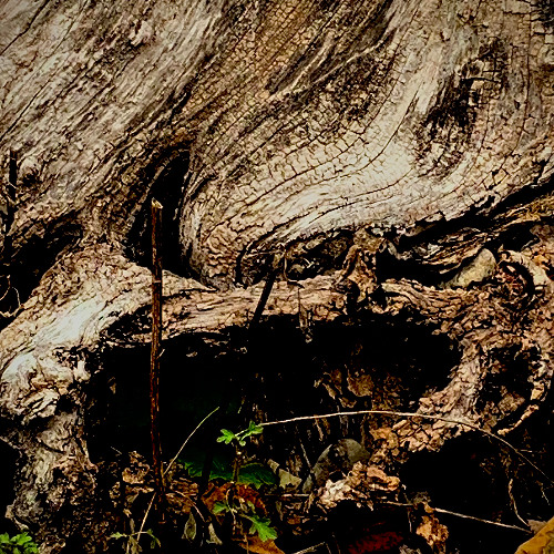 High in the Mountains, Low in the Valleys, Voices, Unheard