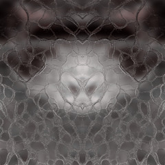 PS023 - CHEAHDX - Visage