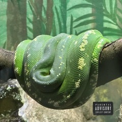 Dont Poke A Snake In A Hole (If The Shoe Fits Part V)