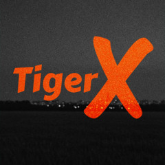 Tiger X. Episode 27. Arsenii Aristov