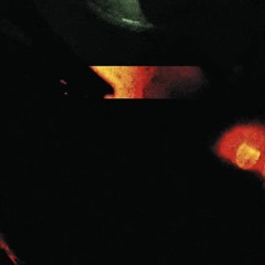 OPPORTUNITY #011 Hasvat Informant