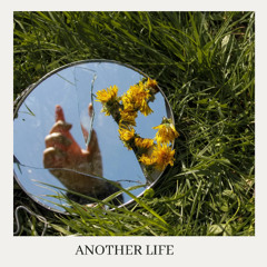 Another Life