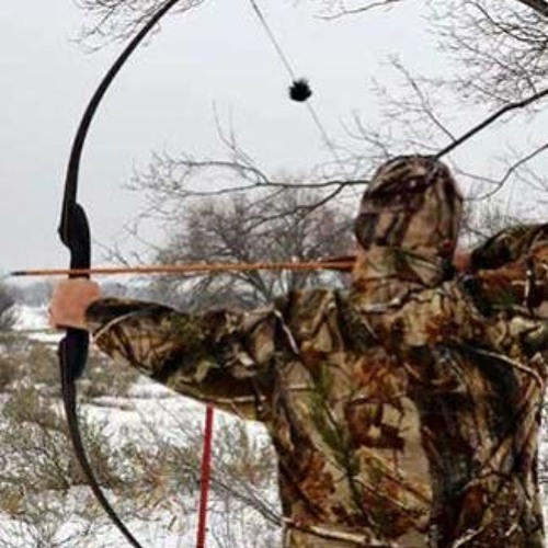 Stream episode Episode 13 (Sept 2021) Bowhunting Basics by New Mexico