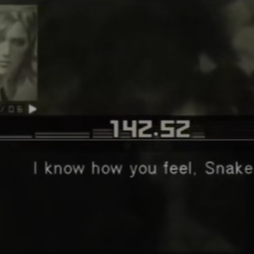 i know how you feel snake