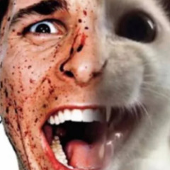 smirking dog type beat ACUSTIC VER