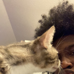 Her Hero