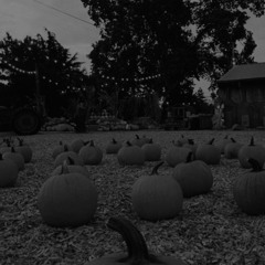 why are you so obsessed with halloween? … halloween is cool. 🎃🍂