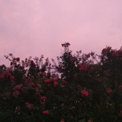 what happens when i die in my dreams xx