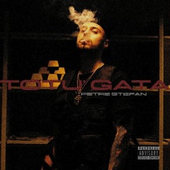 Petre Ștefan - Totu' Gata
