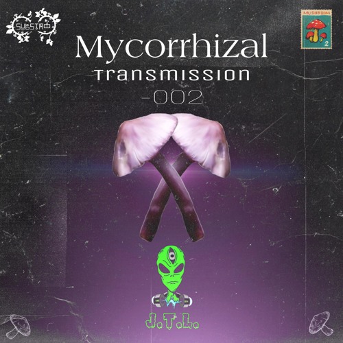 Mycorrhizal Transmissions