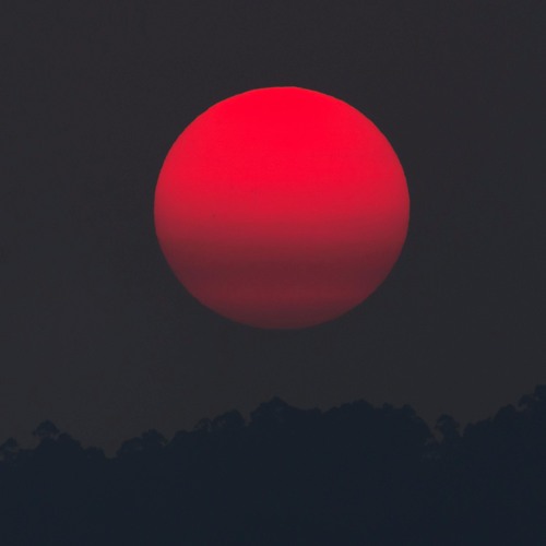 Blood Moon