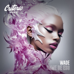 Wade - Dame de Eso (Nelayan 2025 REMIX)