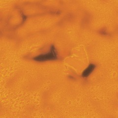 Premiere: TRSSX — Potentialities in Anticipation of Going to Waste [WDWTR014]
