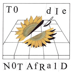 Not Afraid To Die