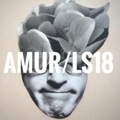 Skyzocrew - Amur - LST#18
