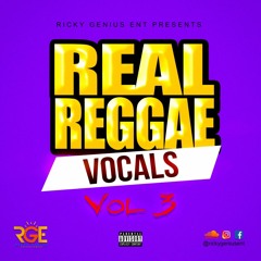 REAL REGGAE VOCAL MIXX VOL 3
