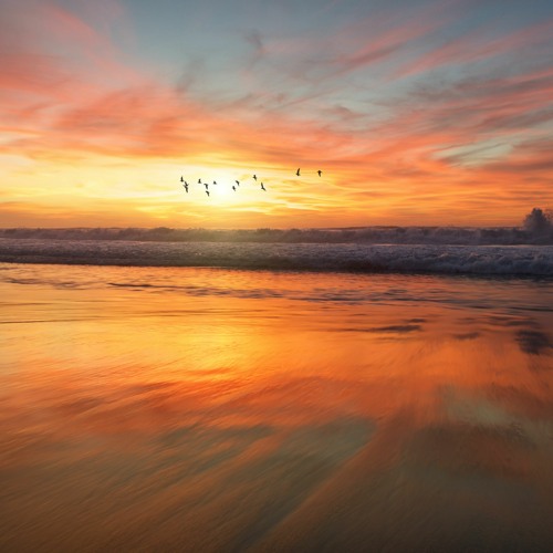 Sunset & Setting Part 1