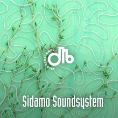 Sidamo Soundsystem  / downtempo, baby! / # 48