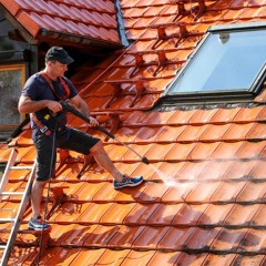 The Surprising Benefits Of Soft Wash Roof Cleaning You Never Knew About