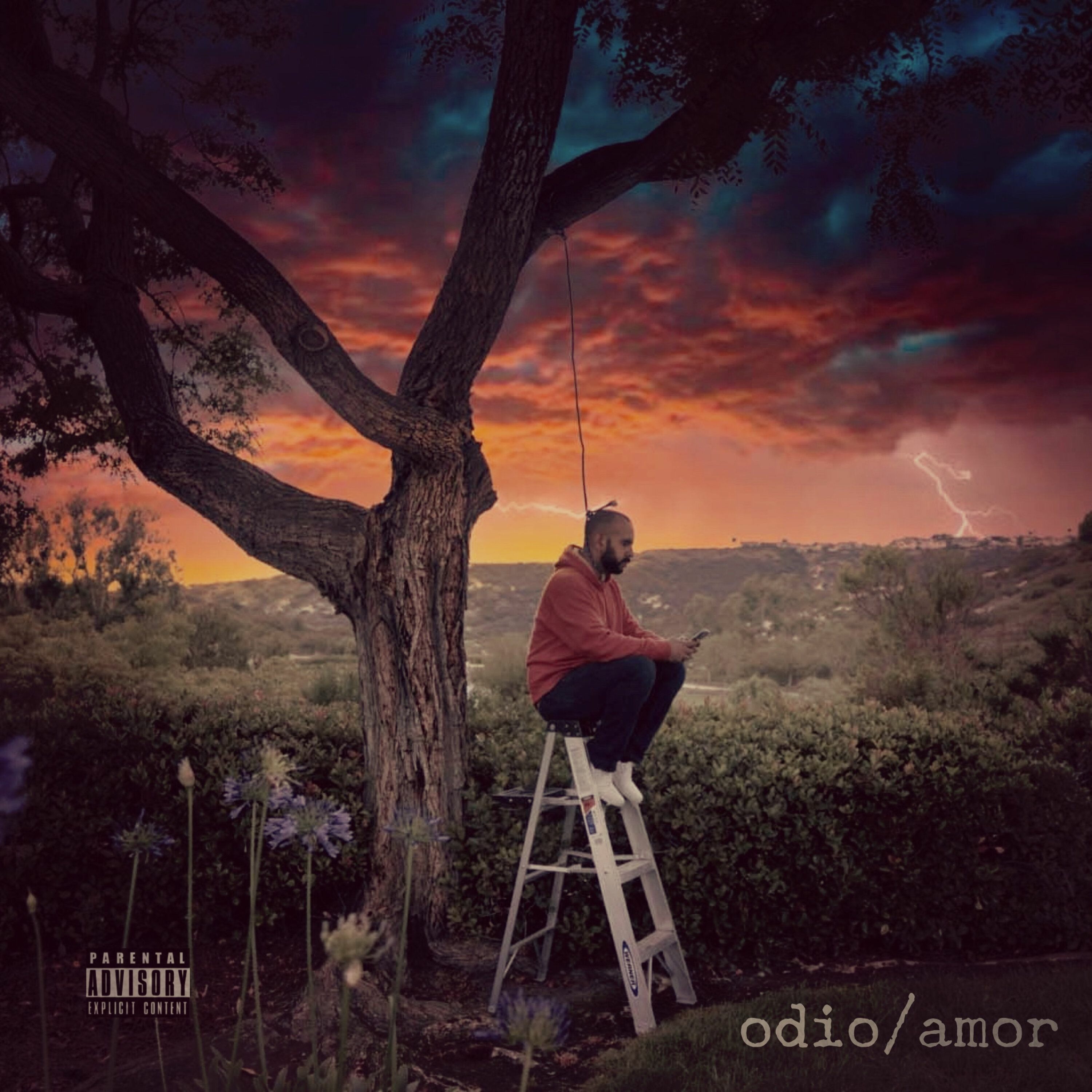 Amor episode artwork