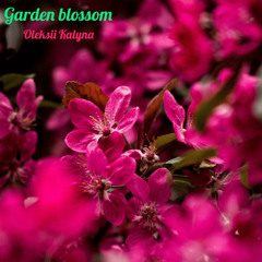 Garden blossom