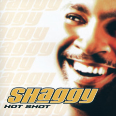 Shaggy - It Wasn't Me (Jakob Cayman Flip)