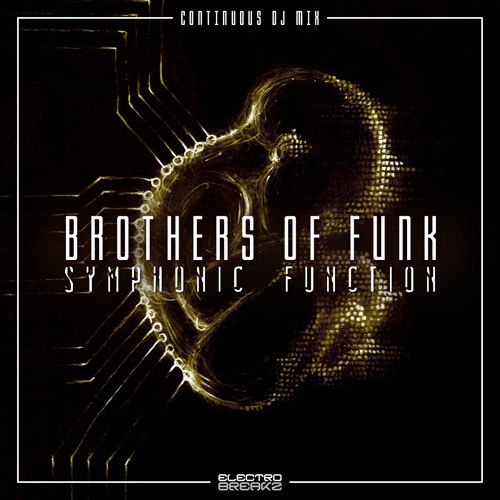 Brothers Of Funk - Symphonic Function (Continuous DJ Mix)