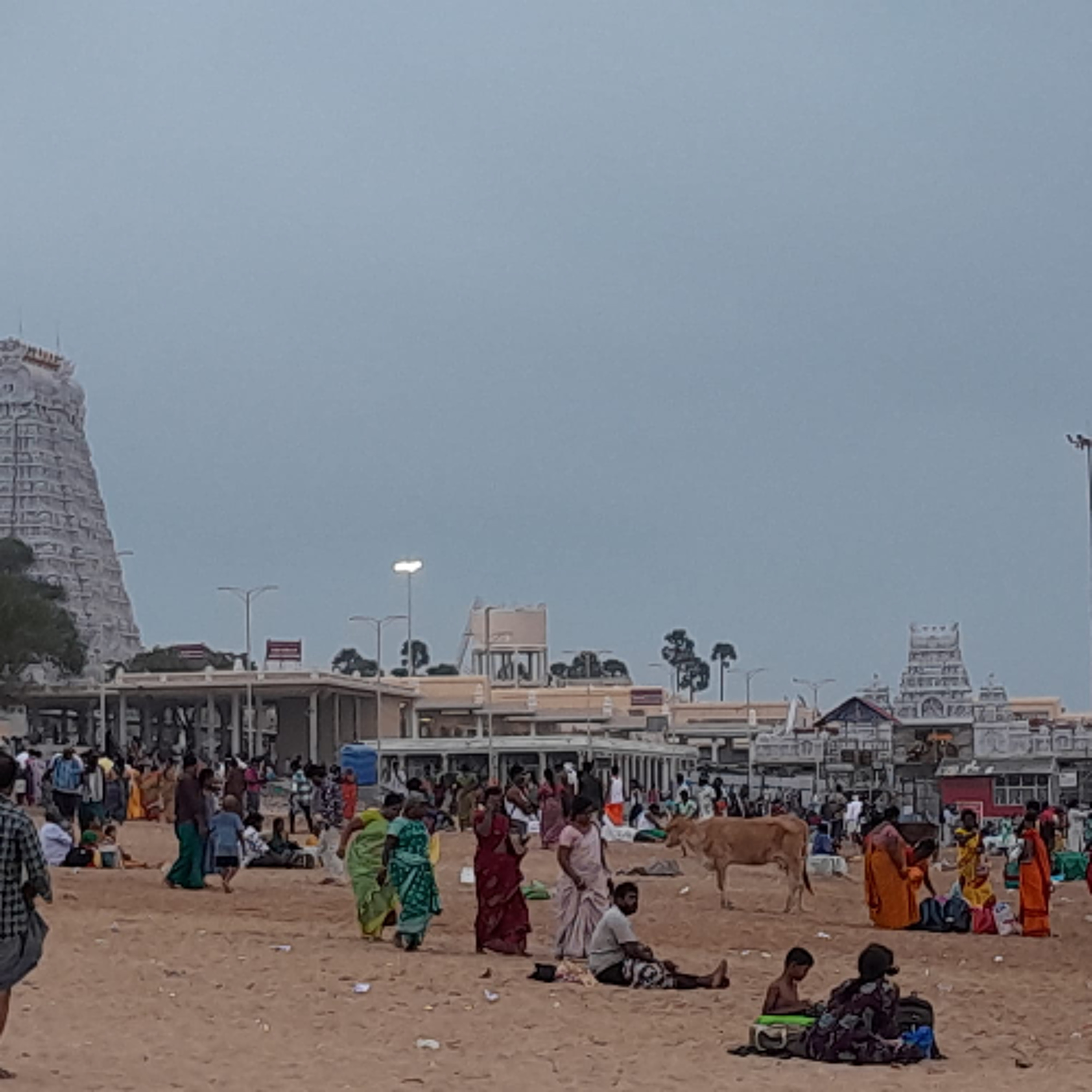 LA TRIADES DES VEDAS - 2e temple Tiruchandur Murugan (lundi 16 mars 2026) episode artwork