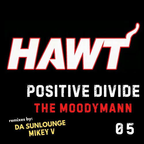 Positive Divide - The Moodymann (Mikey V Remix)