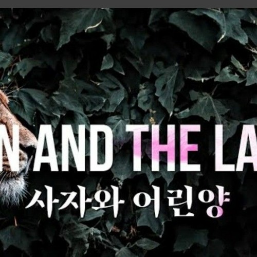 사자와 어린양 - 팀룩워십